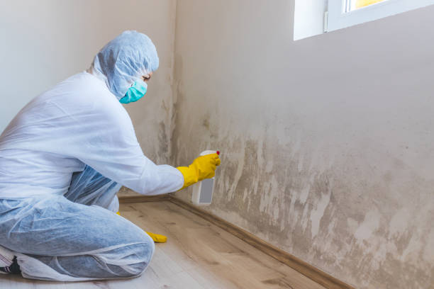 Licensed Hvac And Air Duct Mold Remediation service in Burlington, NC - Mold Remediation HQ
